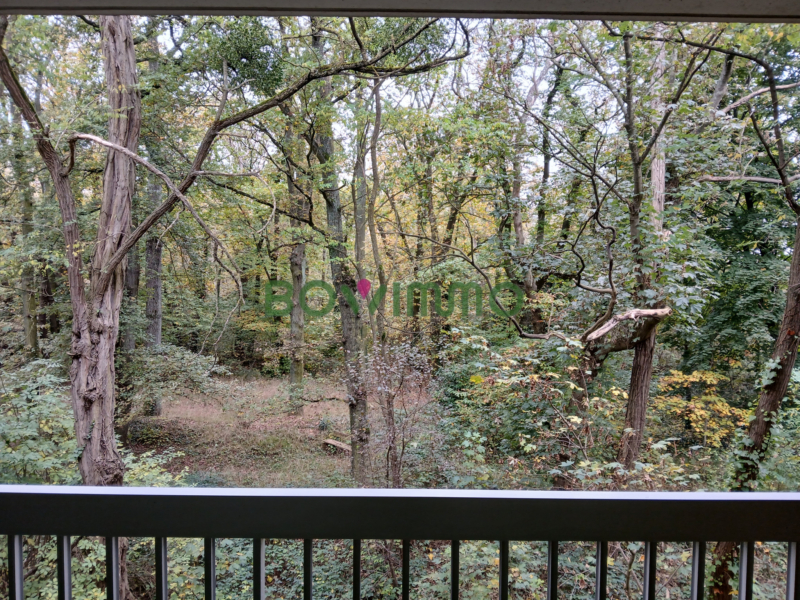 2 pièces avec loggia à louer meublé - Sèvres Les Bruyères -