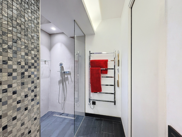 Loft - Métro Eglise de Pantin - Terrasse